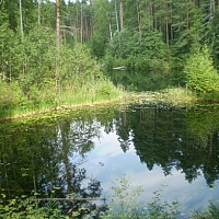Карстовые озера Медведок 5...